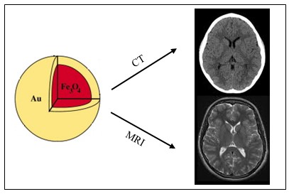 Research | Dr.Zarrabi Official Website-Fig-14 