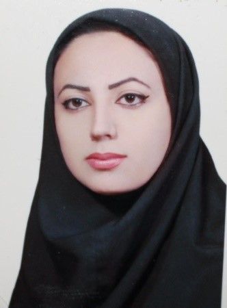 Dr. Shaghayegh Baghaie Dr. Shaghayegh Baghaie